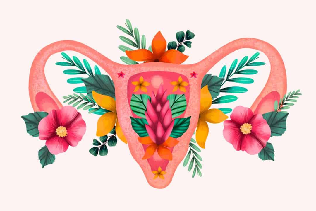 vagina